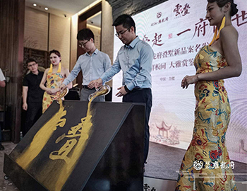 【pa旗舰·雍龙府】万象城旁，，，，，，，6米层高叠墅验资首日人气完爆天下杯开幕式。。。。。。。。。。 